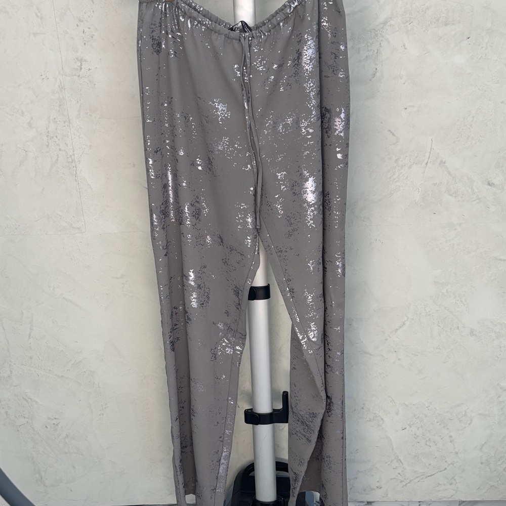 Zara Metallic Gray Pants